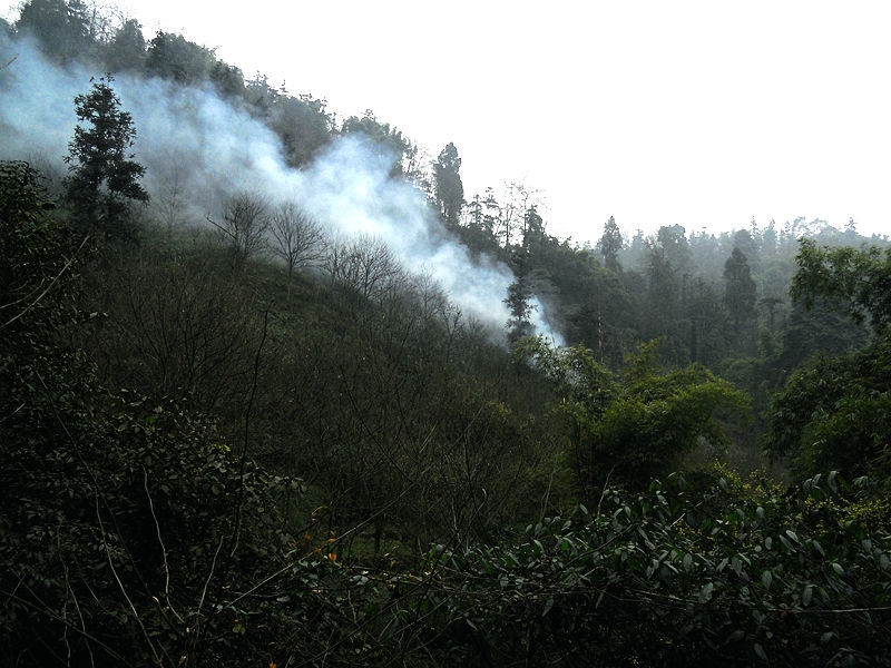 DSCN6073_副本_副本.jpg