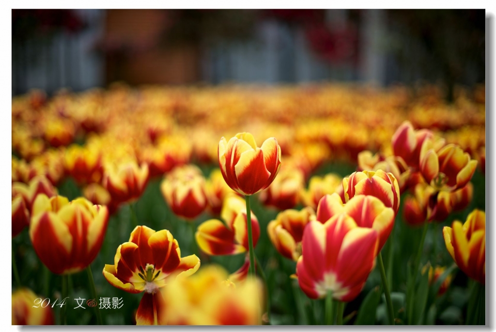 AAA_1448_副本.jpg