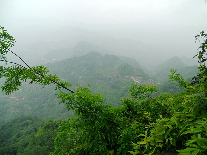 DSCN7488_副本.jpg