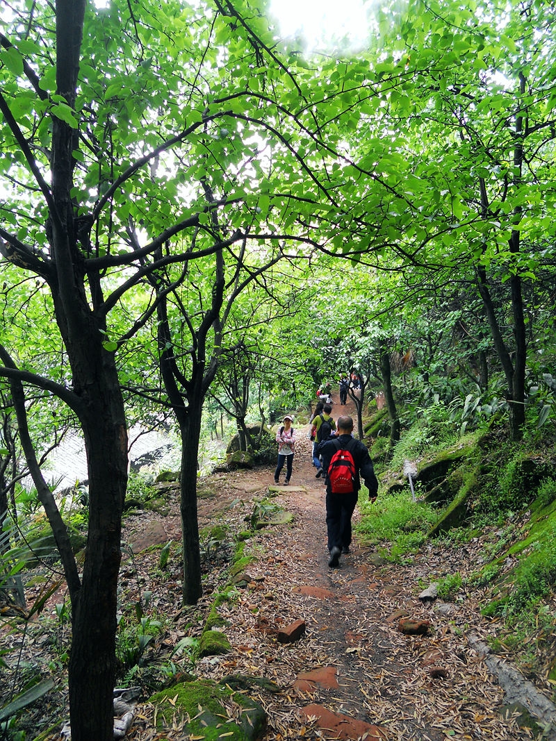DSCN7501_副本.jpg