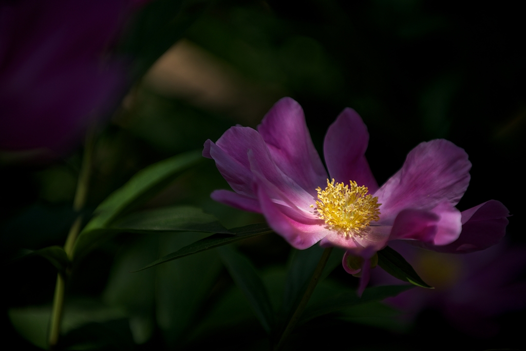 AAA_3746副本.jpg