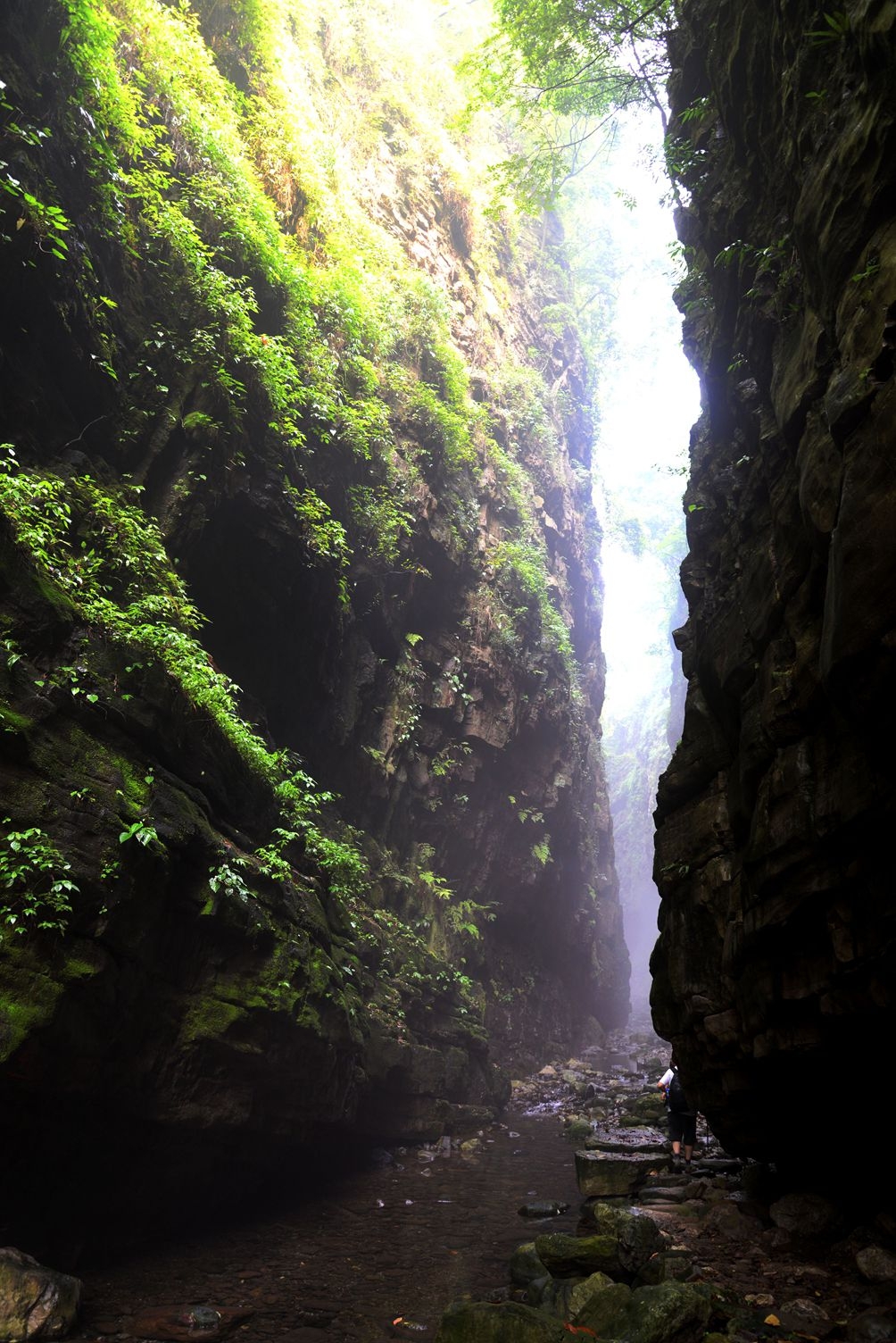 DSC_1749_副本.jpg