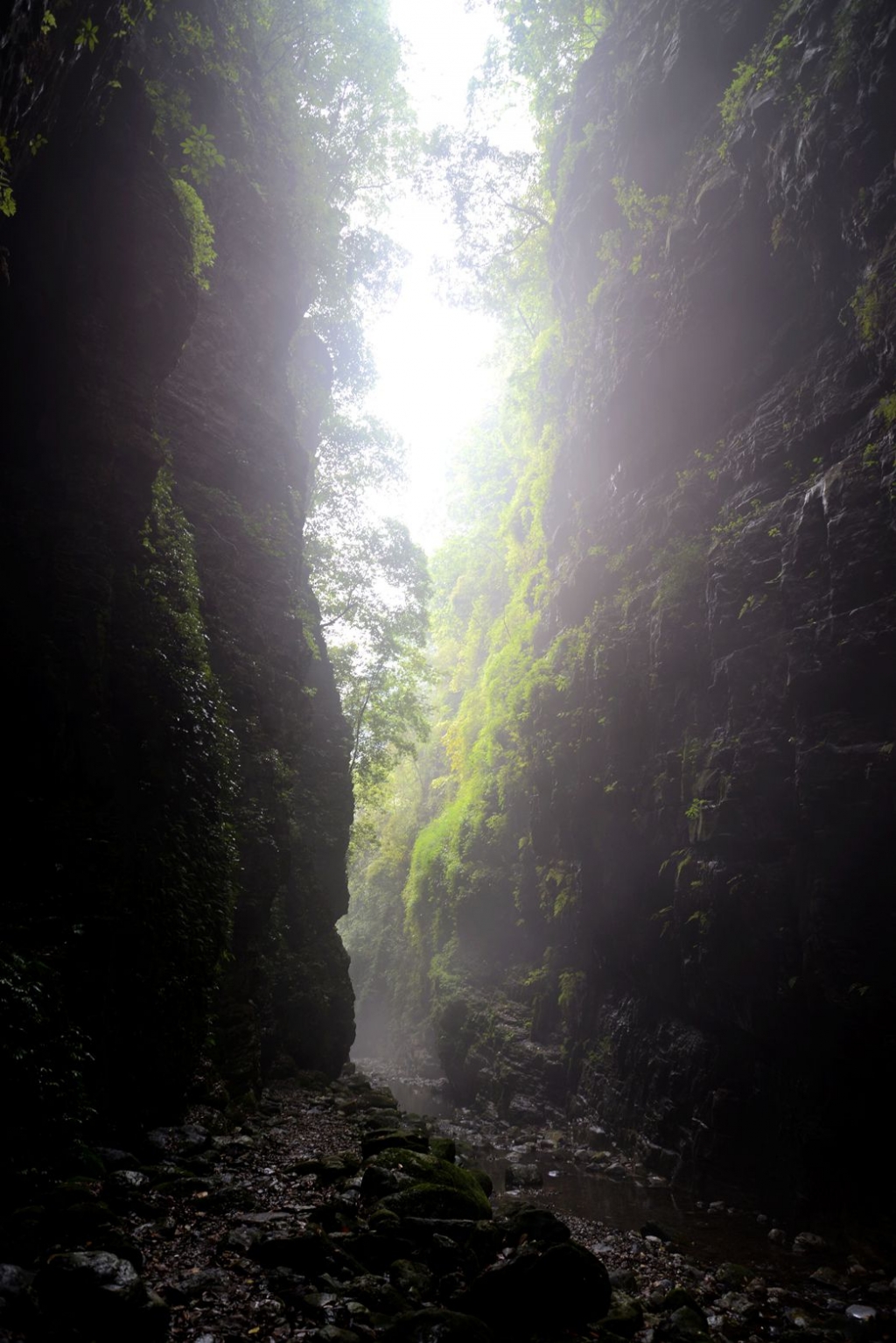 DSC_1750_副本.jpg