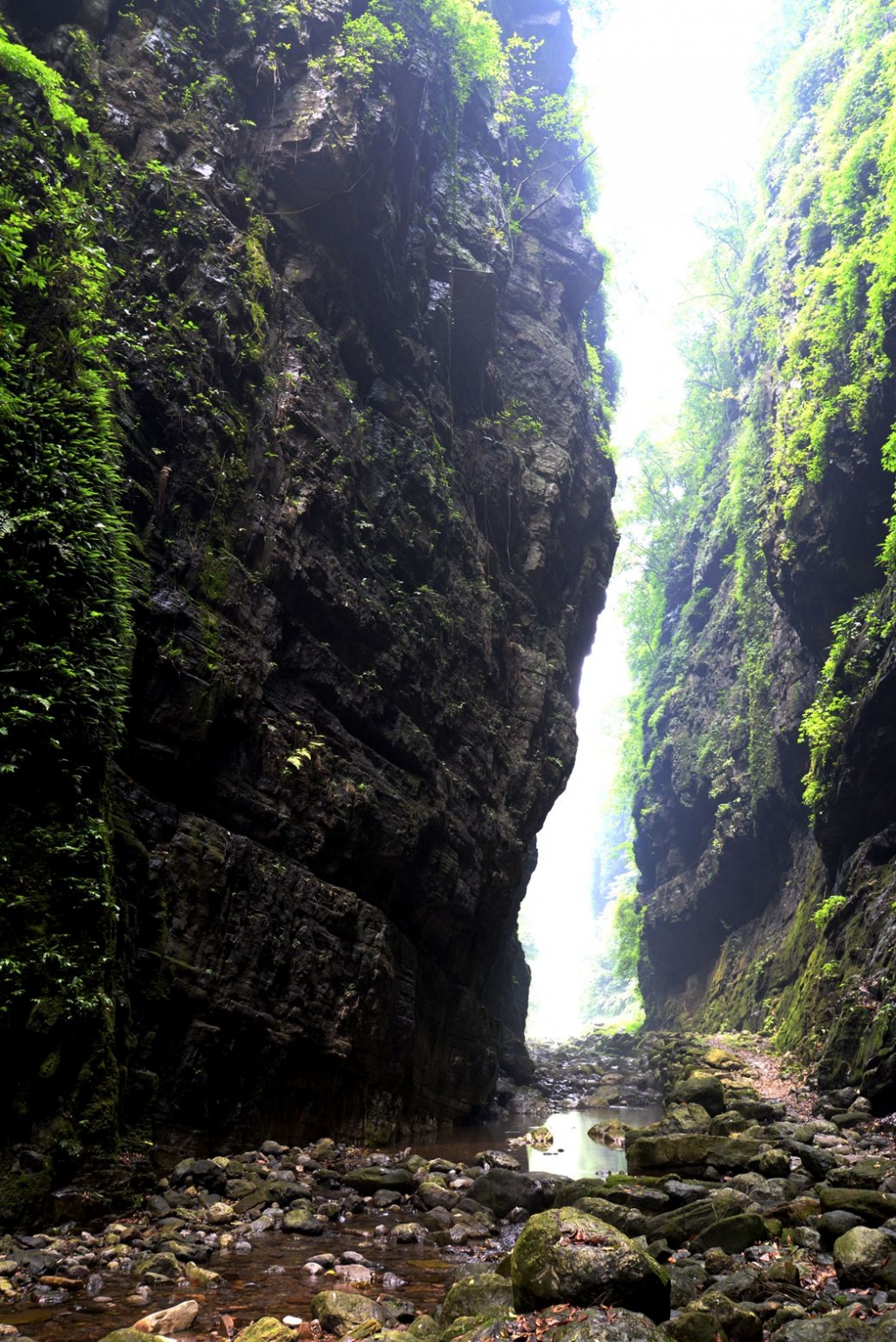DSC_1800_副本.jpg