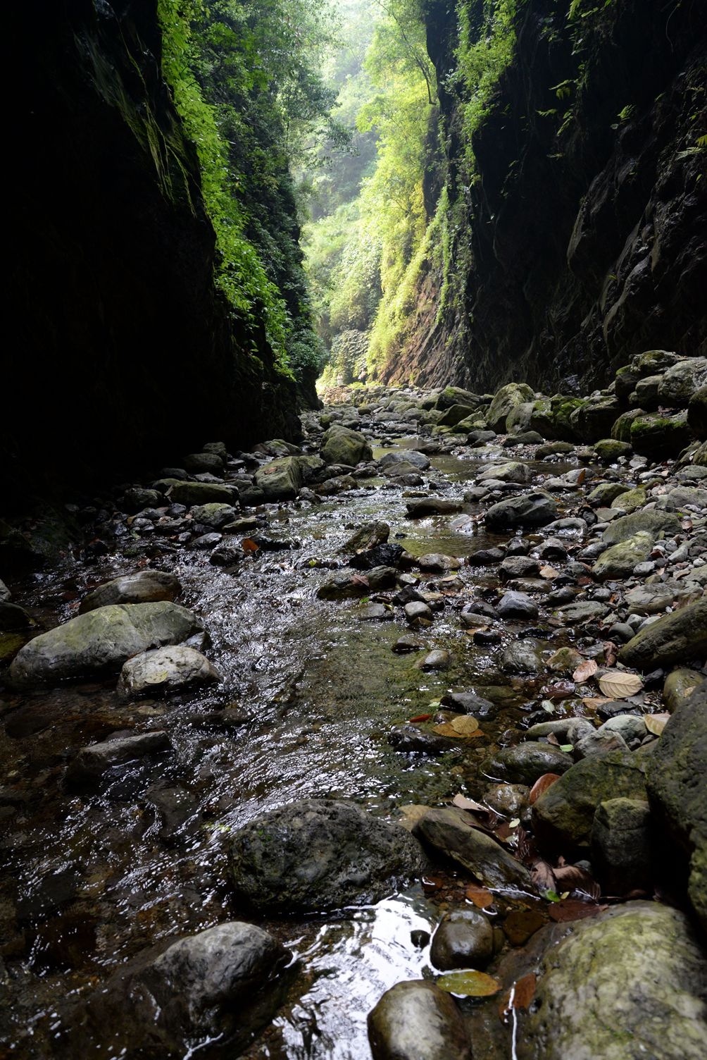 DSC_1848_副本.jpg