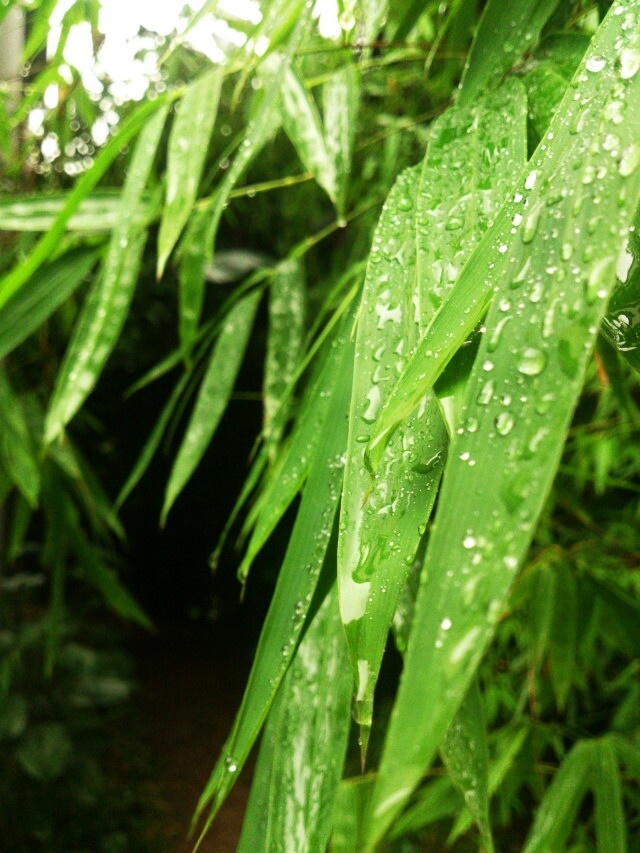 20140609083203.jpg