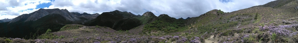 QQ图片20140611170830.jpg