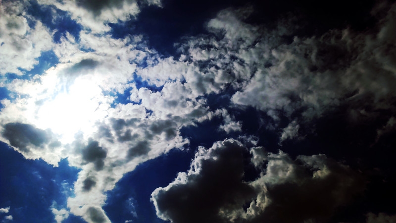 IMAG1361.jpg