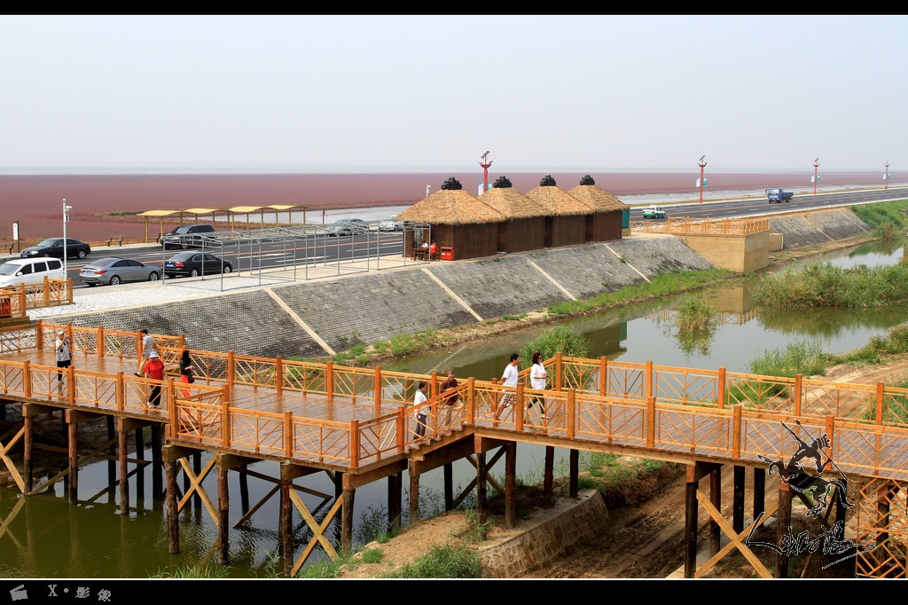 20140815盘锦红海滩 (16).jpg