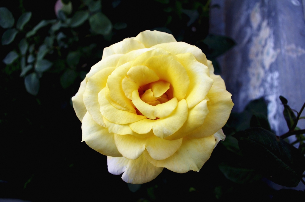 QQphoto(2).jpeg