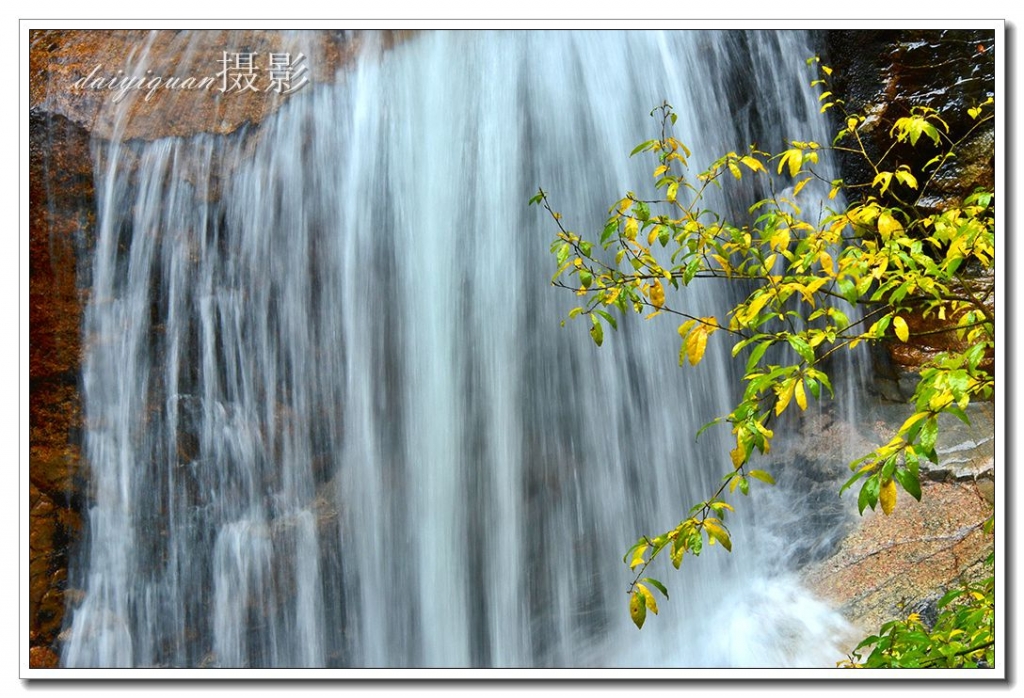 DSC_8471_dh 副本_副本.jpg