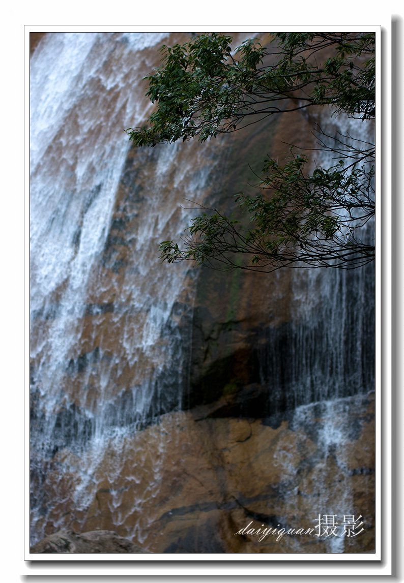 DSC_8523 副本_副本.jpg