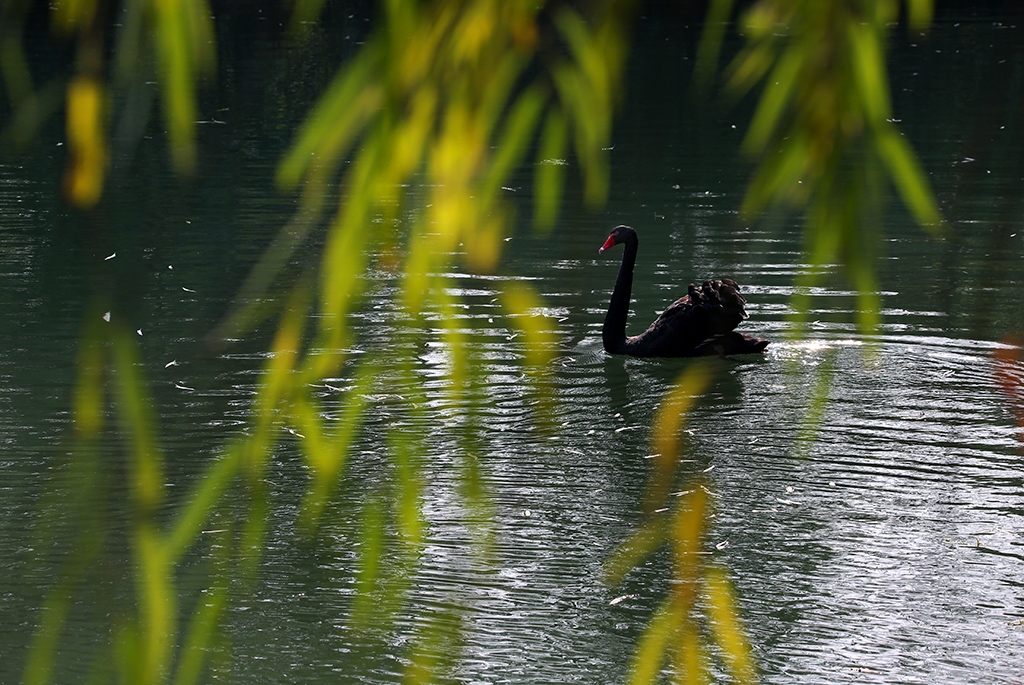 A04O2789 拷贝.jpg