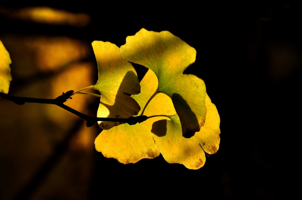 DSC_7673.jpg