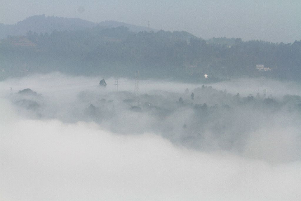 IMG_3255_副本.jpg