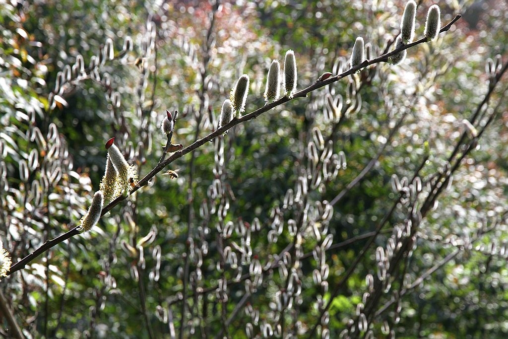 IMG_4507_副本.jpg