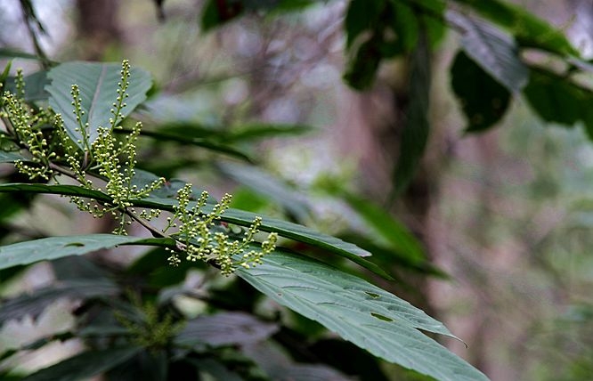 IMG_4894_副本.jpg