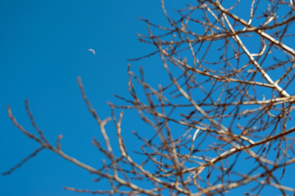 DSC_0094.jpg