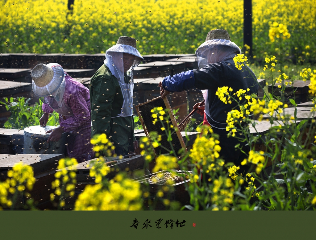 A04O1866 拷贝.jpg