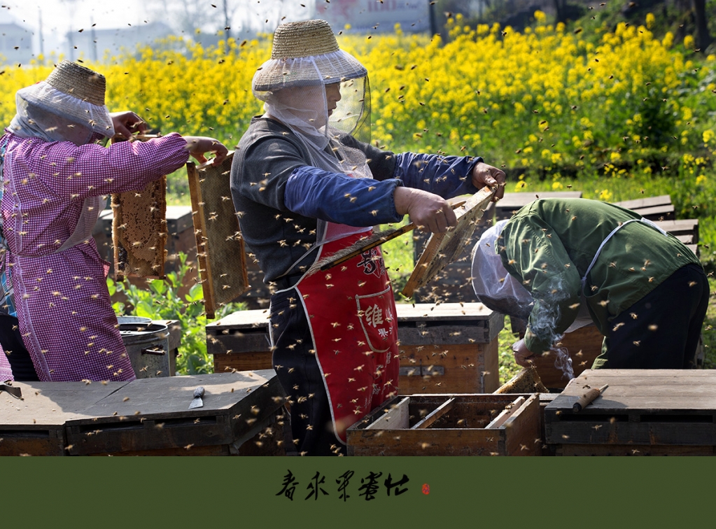 A04O2381 拷贝.jpg