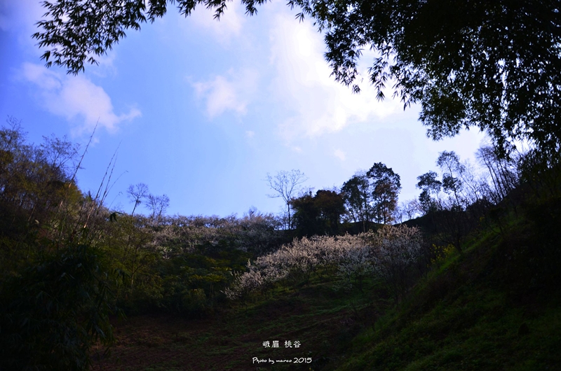 DSC_0976_副本.jpg