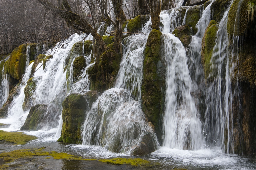 DSC_2898.jpg