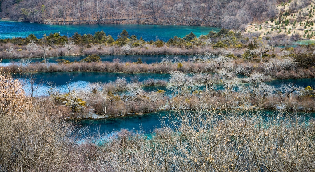 DSC_3098.jpg