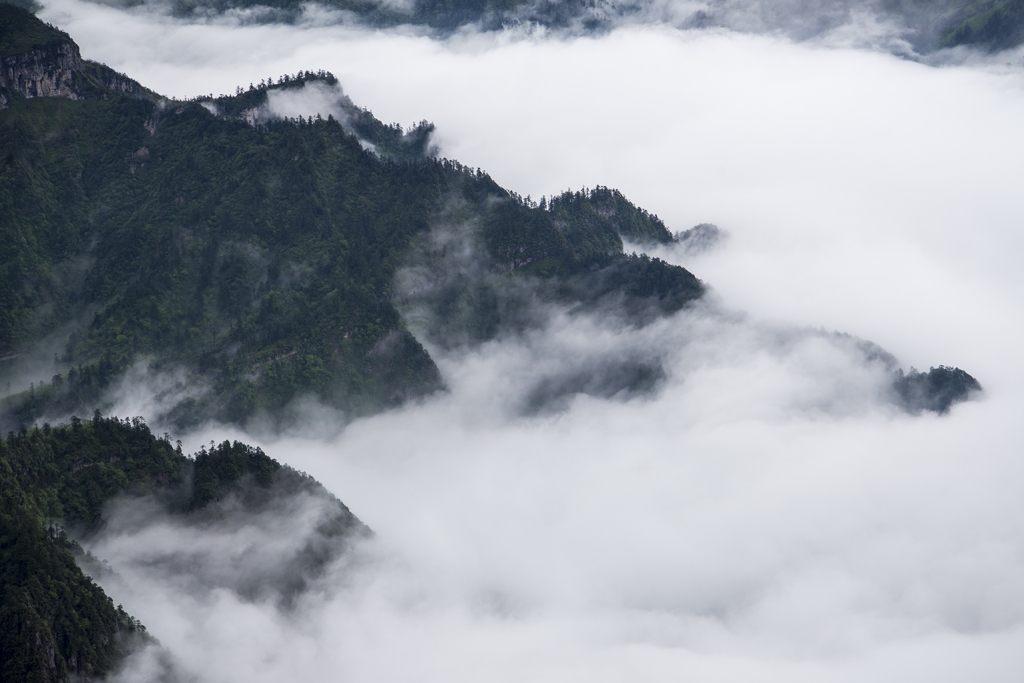_DSC6458.jpg