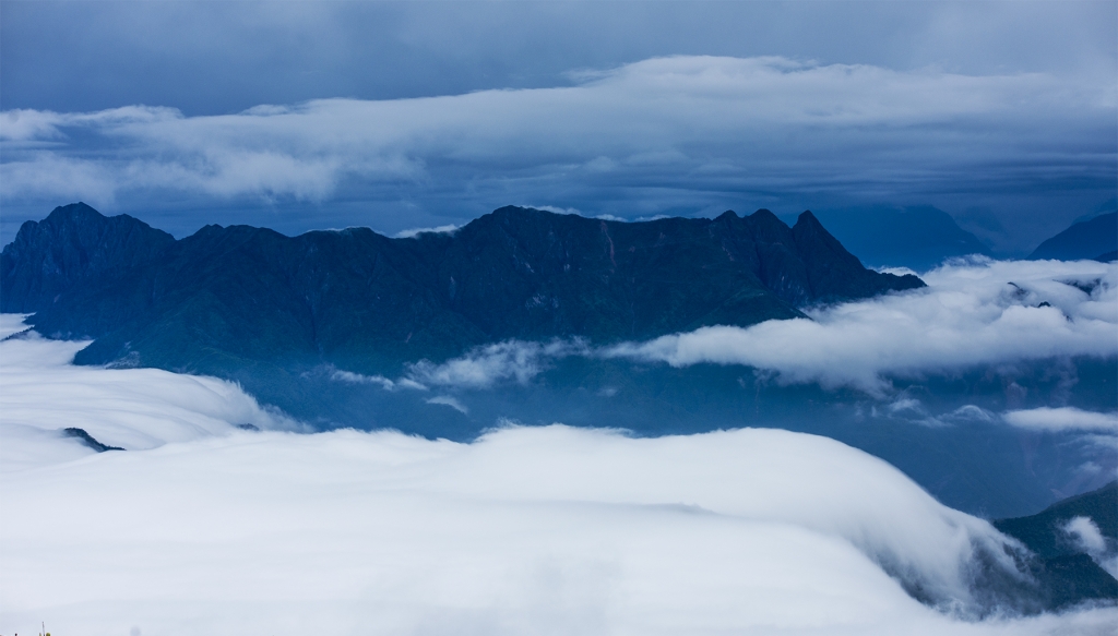 _DSC6503.jpg