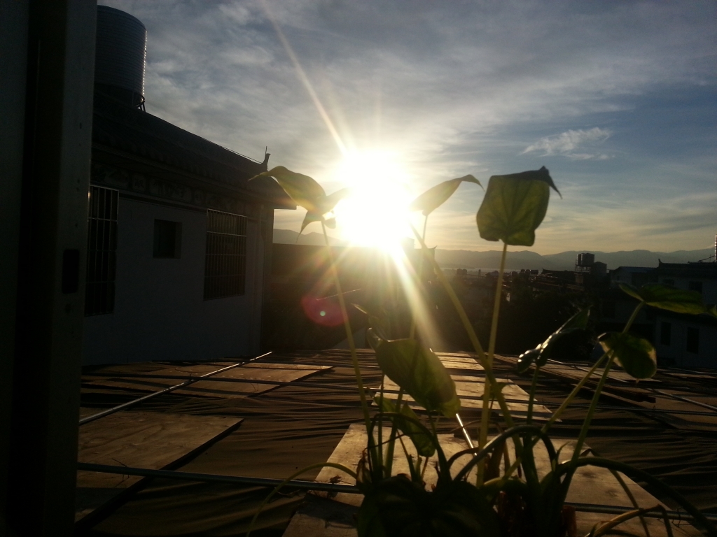20150624_065943.jpg