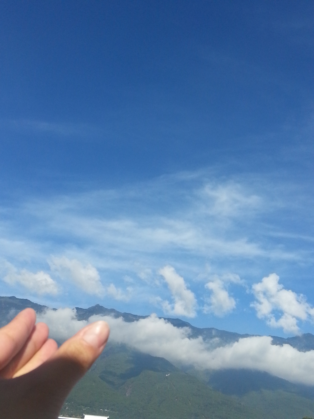 20150624_090455.jpg