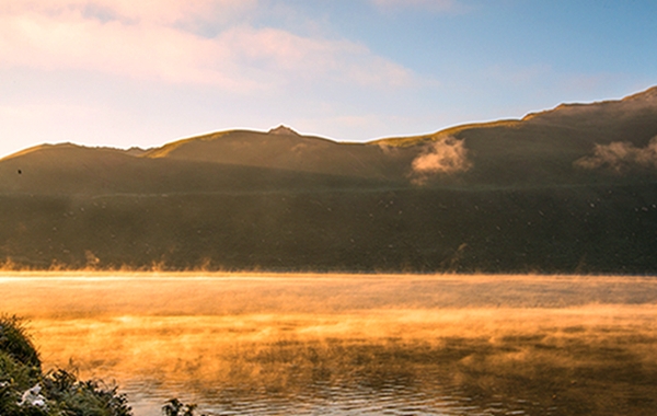 _DSC8070.jpg
