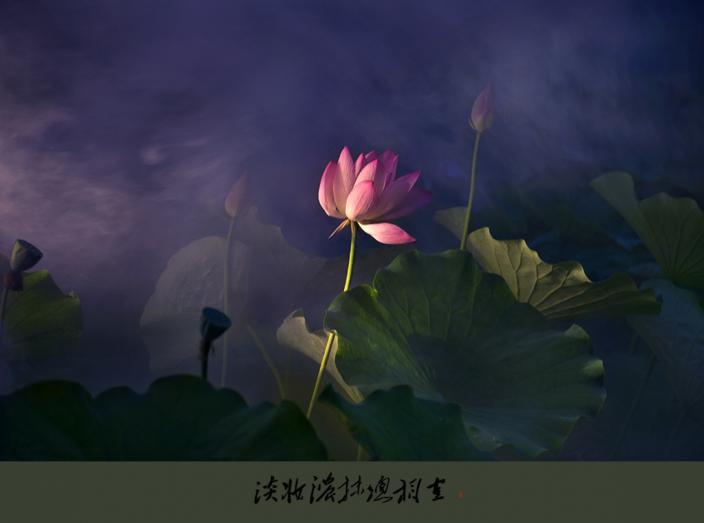 A04O8910 拷贝 2.jpg