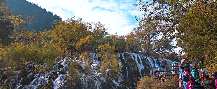 DSC_4332.jpg