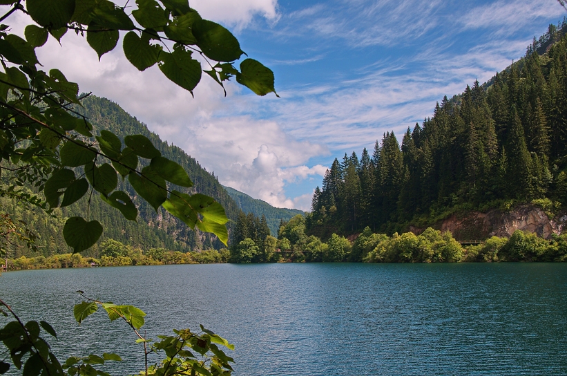 DSC_4391.jpg