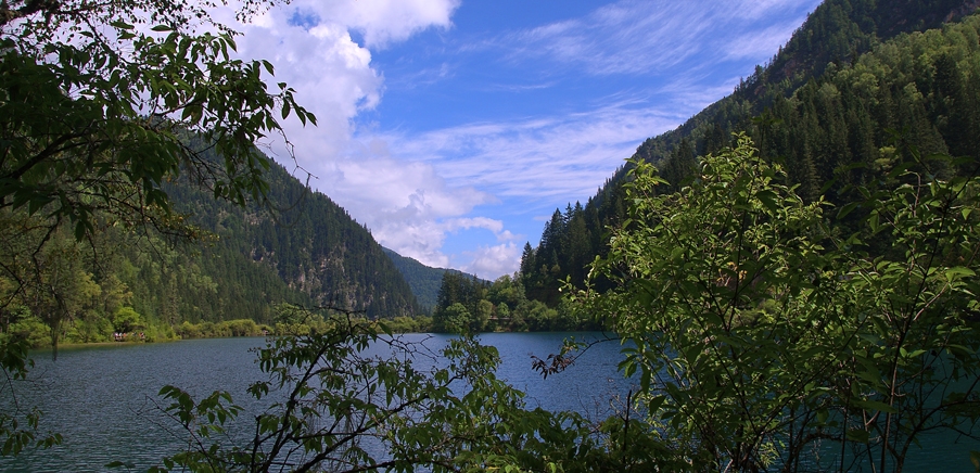 DSC_4397.jpg