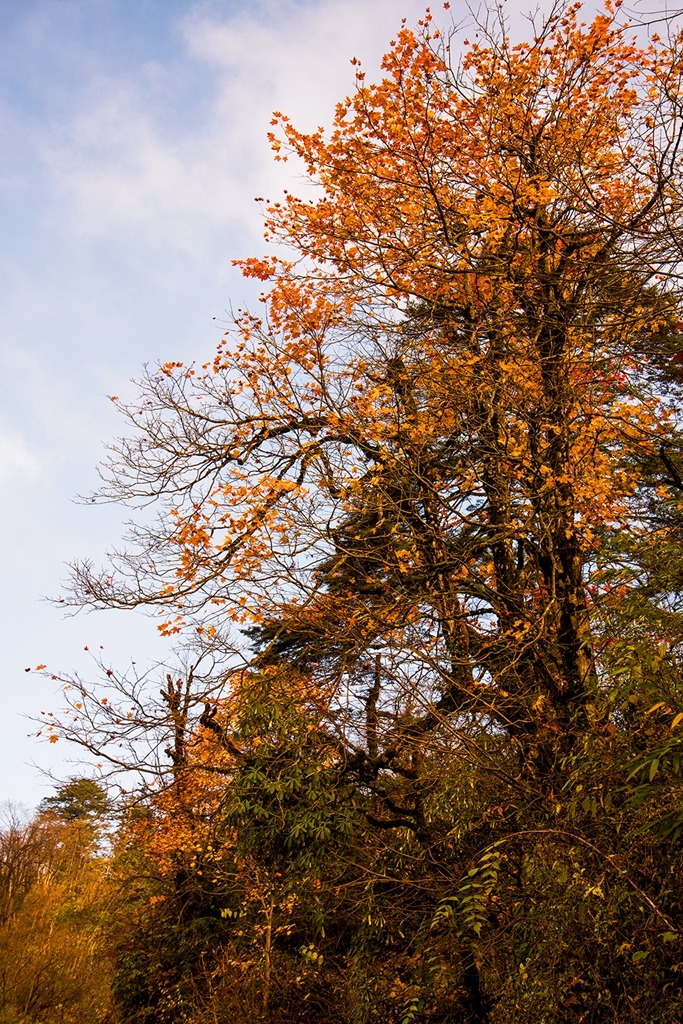 DSC_2099.jpg