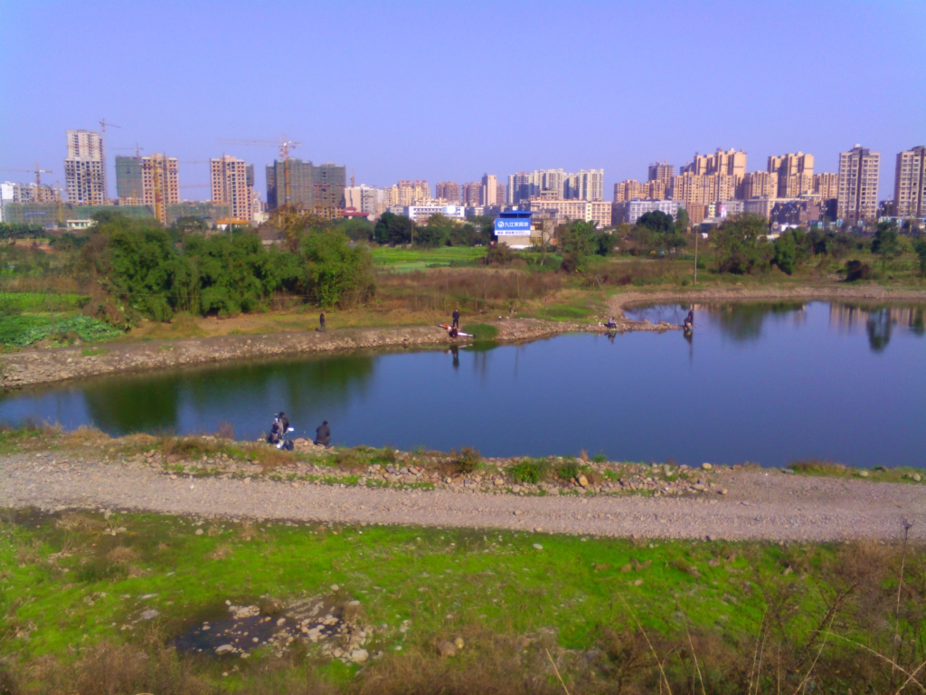 IMG_20151216_143149.jpg