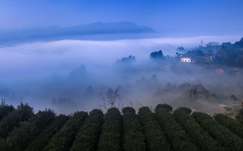 未标题_全景图1 拷贝.jpg