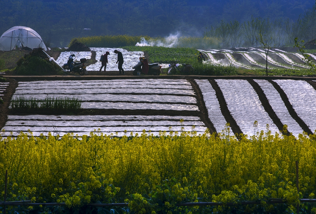 A04O5621 拷贝.jpg