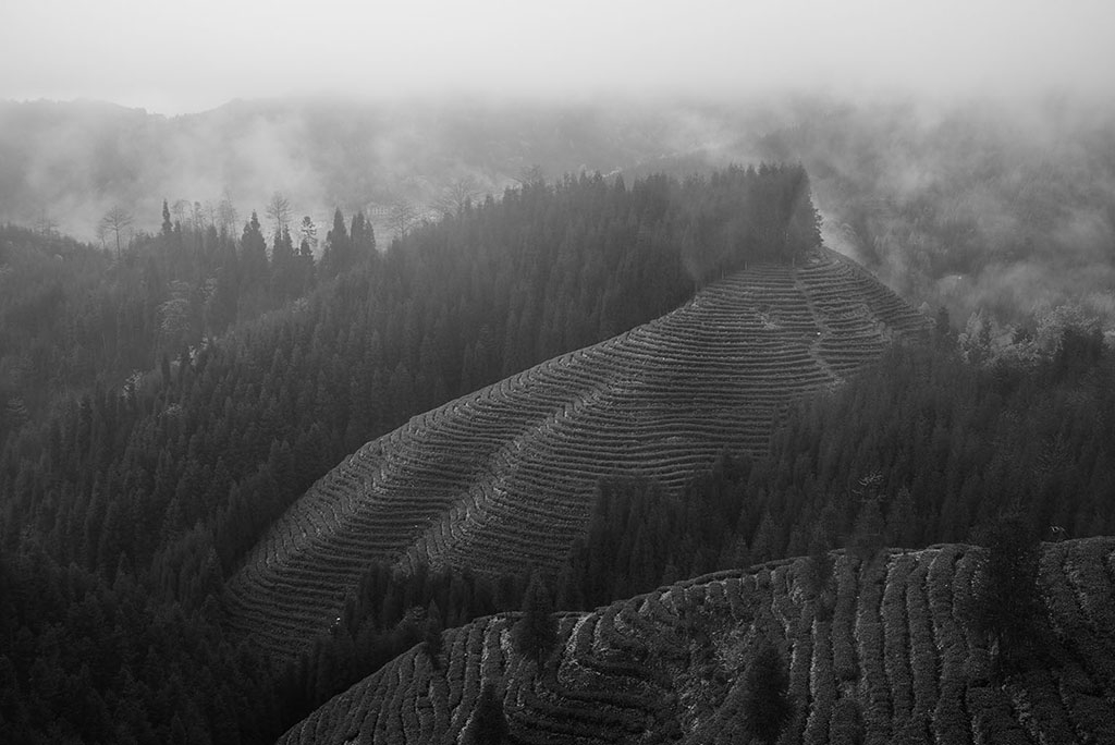 DSC_0514.jpg