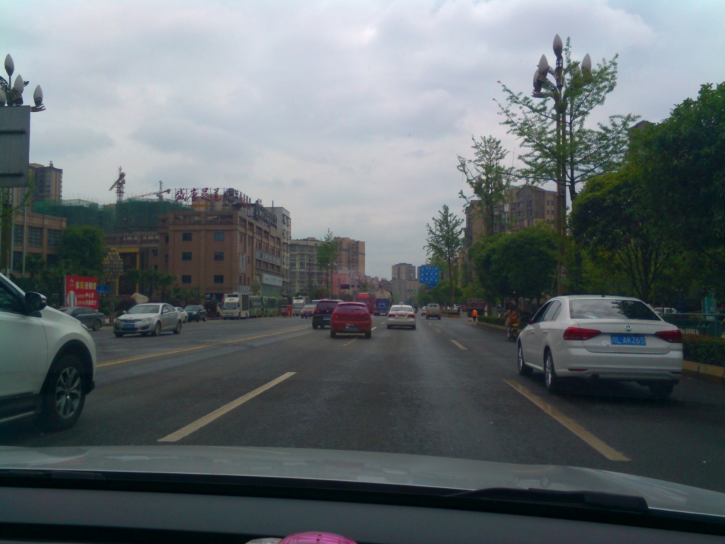 IMG_20160409_142322.jpg
