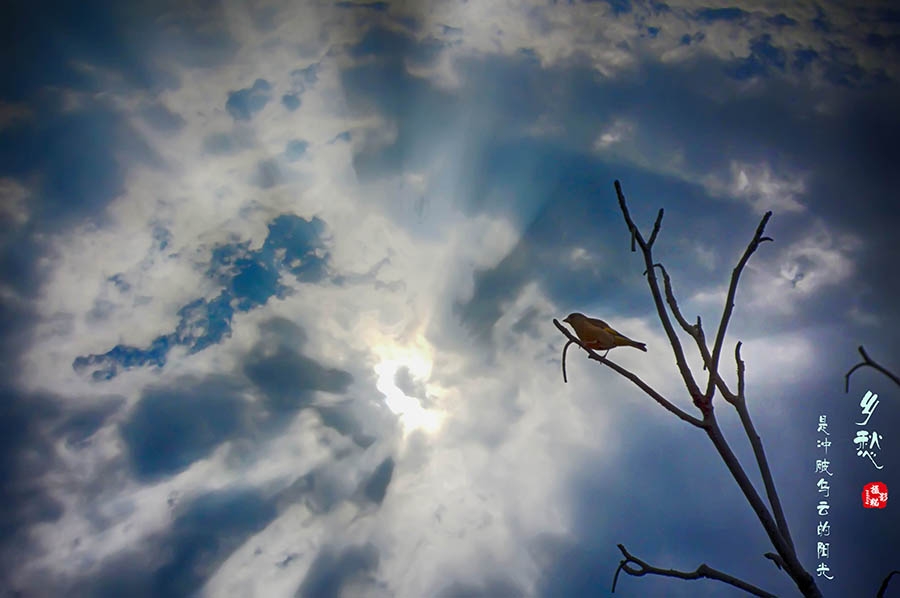 雨后的晴空.jpg