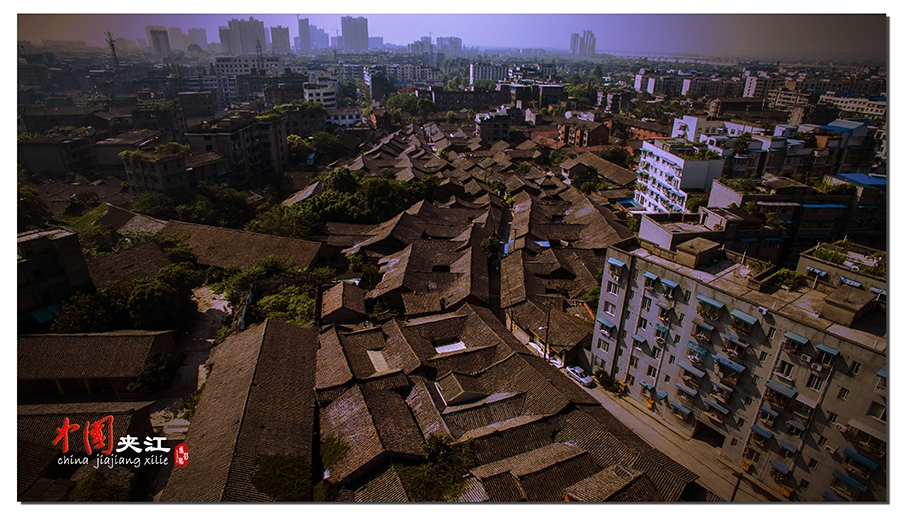城区.jpg