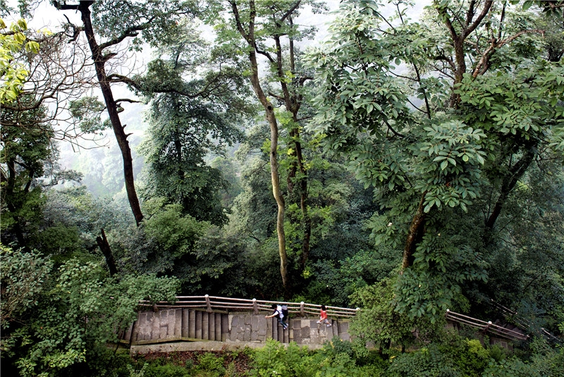 08-1攀登   朱信林  摄(climbing -by Zhu Xinlin).jpg