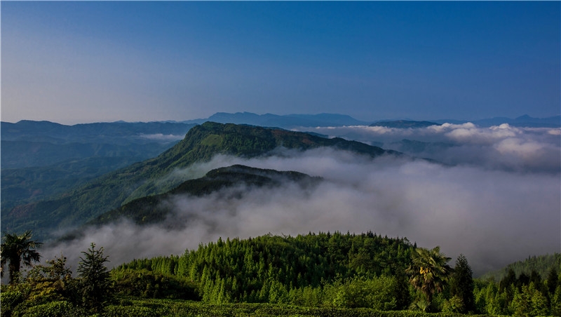 峨眉背山云涌-杨方荣.jpg