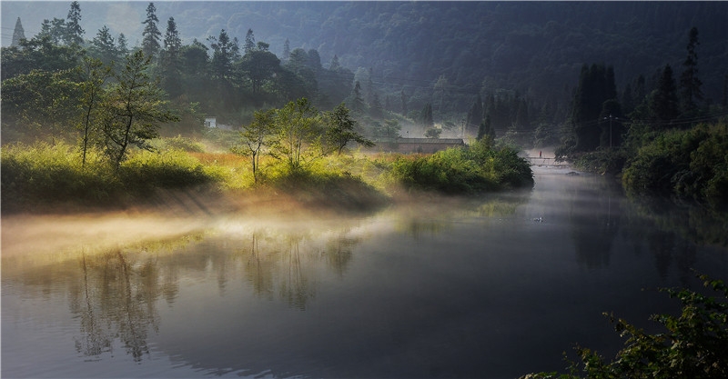 陈杰：晨雾迎朝阳.jpg