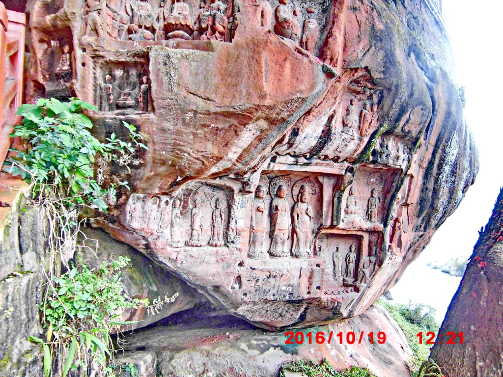 CIMG5533.JPG