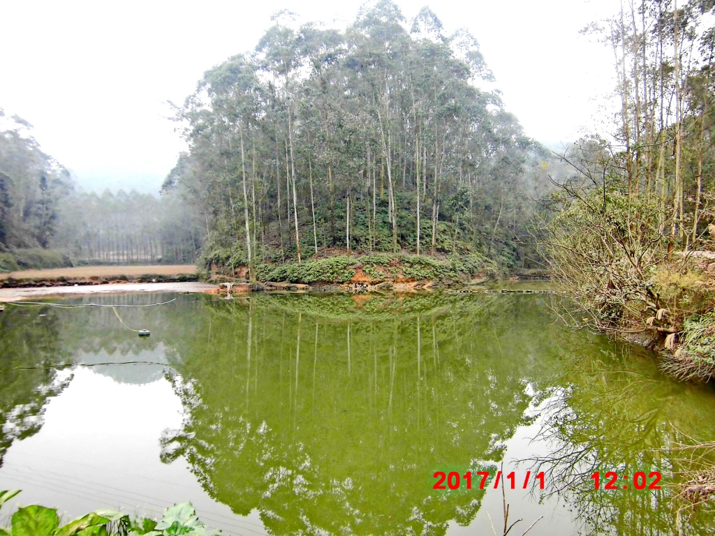 CIMG0490.JPG