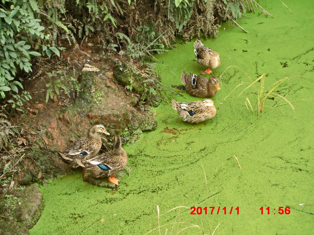 CIMG0479.JPG